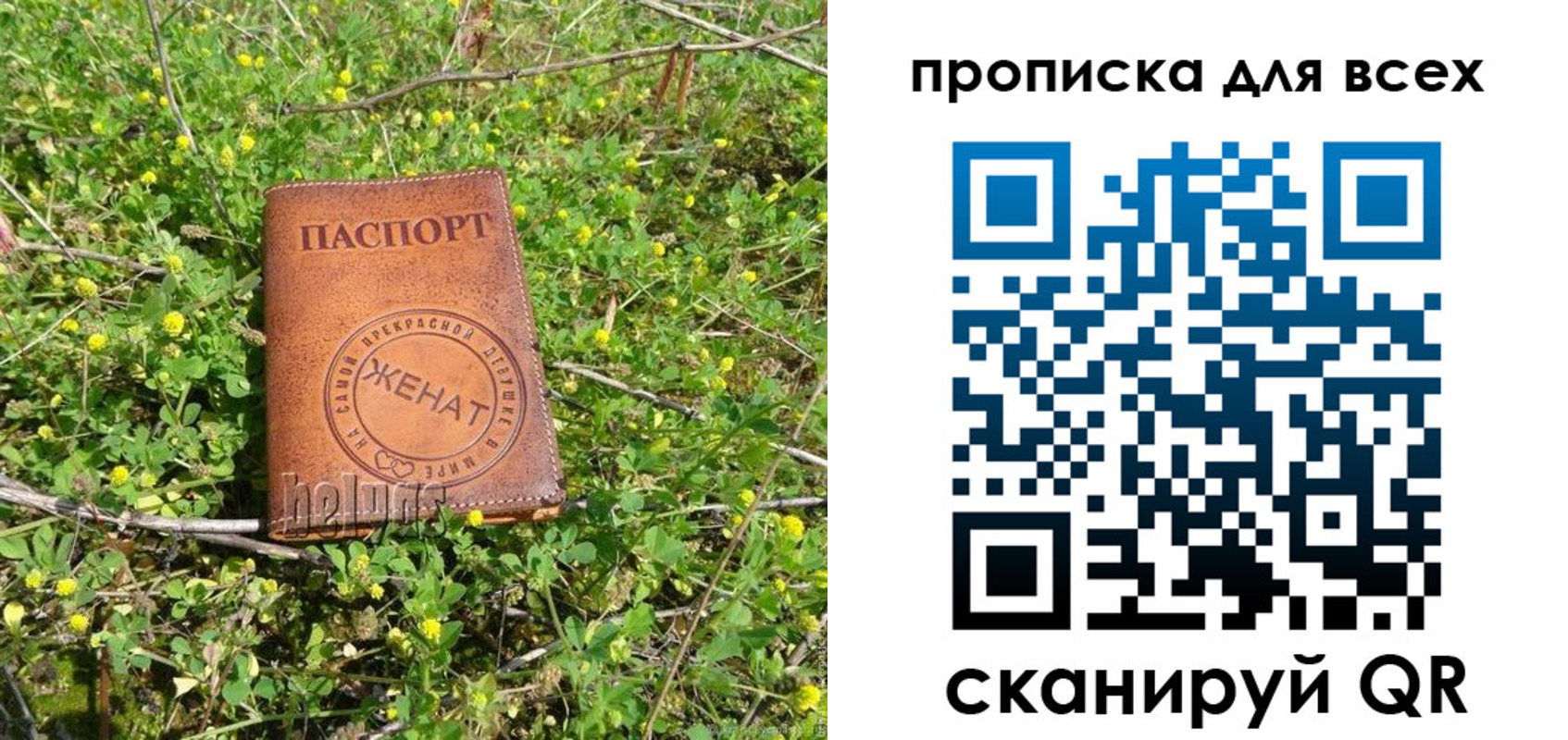прописка поиск в Благодарном